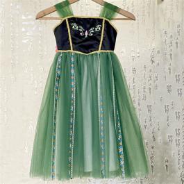 2022 New arrival Sleeveless Anna Princess Dress Embroidery Anna cosplay party costumes for Halloween Christmas