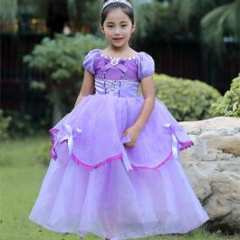 Short Sleeve Purple Sofia Princess Dress TV Movie Costumes Sofia Princess Dresses For Girl